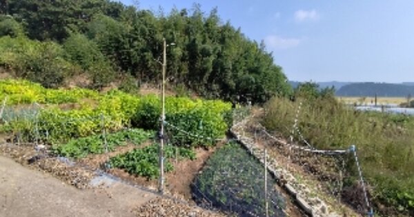 충청남도 서천군 종천면 도만리 OOO 전 경매 물건 이미지