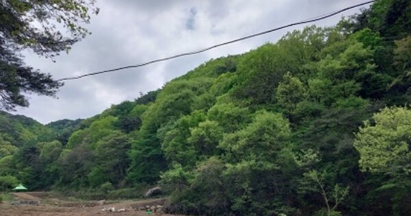 충청남도 청양군 대치면 대치리 OOOOO 임야 경매 물건 이미지