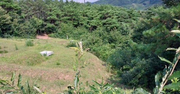 충청남도 청양군 목면 신흥리 OOOOO 임야 경매 물건 이미지