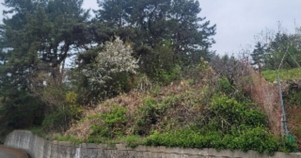 경상남도 통영시 광도면 안정리 OOOO 임야 경매 물건 이미지