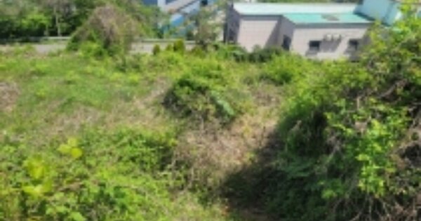 경상남도 거제시 사등면 사등리 OOOOOOO 임야 경매 물건 이미지