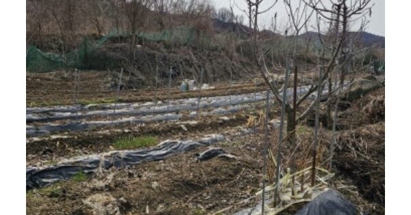 충청북도 충주시 용탄동 OOOOO 전 경매 물건 이미지