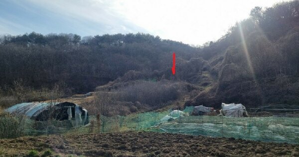 경상남도 진주시 미천면 벌당리 OOO O OOO 전 경매 물건 이미지
