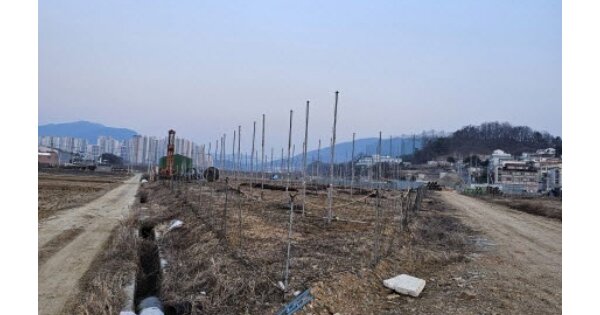 충청북도 충주시 단월동 OOOOO O OOO 답 경매 물건 이미지