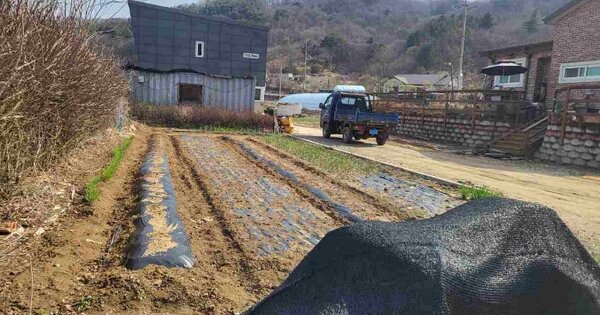 경기도 양평군 강하면 동오리 OOO 단독주택 경매 물건 이미지