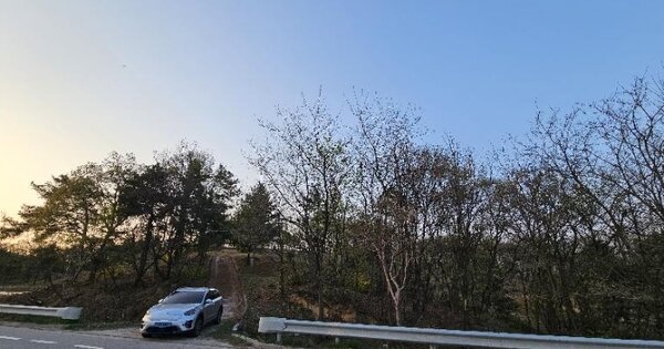 경기도 이천시 설성면 대죽리 OOOOO 임야 경매 물건 이미지