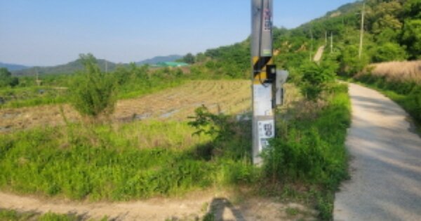 경상북도 성주군 성주읍 대황리 OOOOOO 답 경매 물건 이미지
