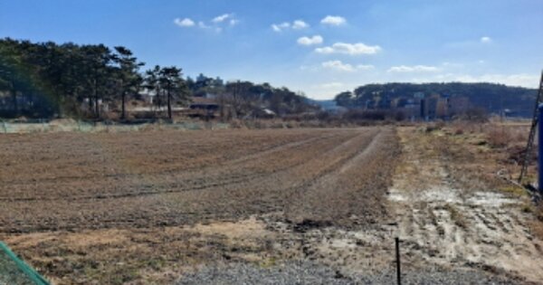 충청남도 서산시 대산읍 대산리 OOOOOO 전 경매 물건 이미지