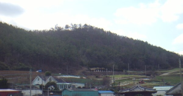 전라남도 진도군 지산면 길은리 OOO 임야 경매 물건 이미지