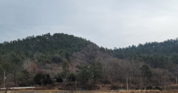 전라남도 여수시 율촌면 가장리 OOOOOO 임야 경매 물건 이미지