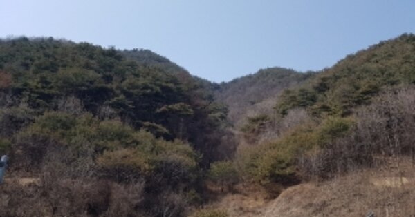 강원특별자치도 홍천군 화촌면 성산리 OOO 임야 경매 물건 이미지