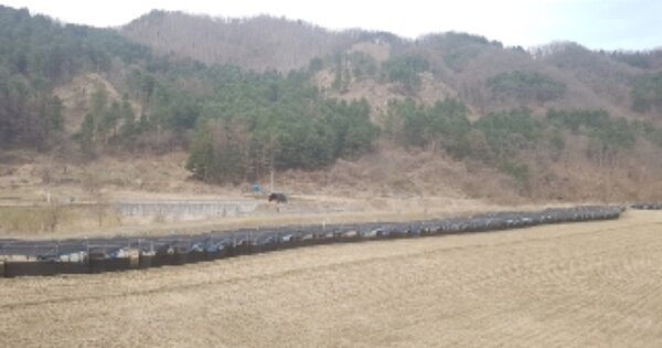 강원특별자치도 춘천시 동산면 군자리 OOOOO O OOO 답 경매 물건 이미지