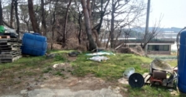 충청남도 당진시 신평면 금천리 OOOOO 임야 경매 물건 이미지