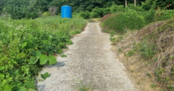 전라남도 고흥군 풍양면 율치리 OOOO 답 경매 물건 이미지