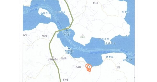 전라남도 신안군 안좌면 대척리 OO O OOO 임야 경매 물건 이미지