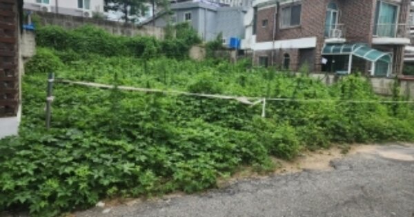 충청북도 청주시 서원구 모충동 OOOOO 대지 경매 물건 이미지
