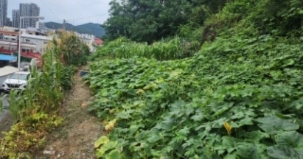 충청북도 청주시 상당구 금천동 OOOOOO 임야 경매 물건 이미지