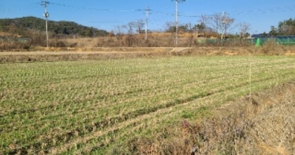 전라남도 나주시 공산면 가송리 OOOOO 답 경매 물건 이미지
