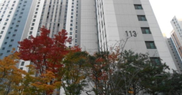 충북 청주시 흥덕구 옥산면 가락리 981, 113동 OO OOOO OOOOOOOOOO 아파트 경매 물건 이미지