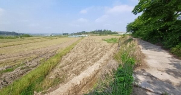 전라남도 영광군 대마면 성산리 OOOOO O OOO 답 경매 물건 이미지