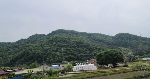 경기도 파주시 파평면 두포리 OOO 답 경매 물건 이미지