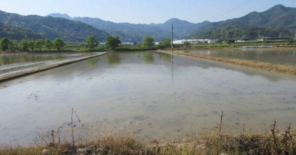 경상북도 상주시 이안면 안용리 OOOOO 답 경매 물건 이미지