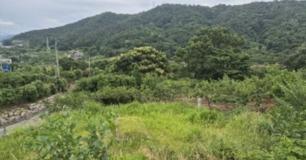 전라남도 화순군 화순읍 동구리 OOOO 묘지 경매 물건 이미지