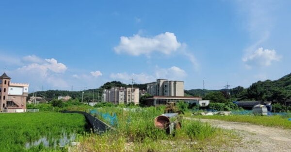 경기도 파주시 파주읍 연풍리 OOOOO O OOO 답 경매 물건 이미지