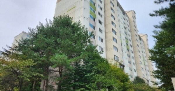 경기 양주시 삼숭동 683-1, 306동 OOO OOOOO OOOOOOOOOOOOO 아파트 경매 물건 이미지