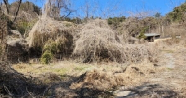 경상북도 안동시 풍산읍 노리 OOO 단독주택 경매 물건 이미지