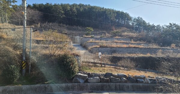 경상남도 창원시 진해구 청안동 OOO O OOO 전 경매 물건 이미지