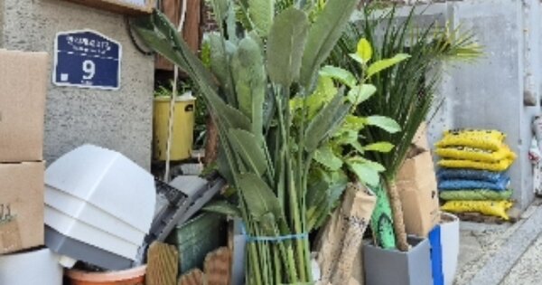 서울특별시 중구 만리동1가 OOOO 대지 경매 물건 이미지