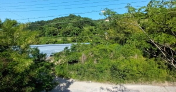 충청남도 금산군 추부면 추정리 OOOO 임야 경매 물건 이미지