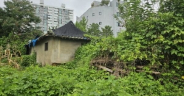충청남도 천안시 동남구 청수동 OOO O OOO 대지 경매 물건 이미지