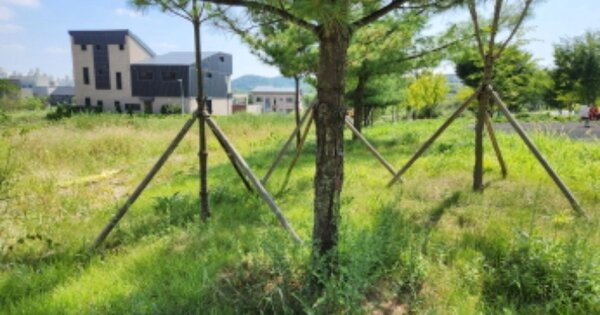 세종특별자치시 고운동 OOOO 대지 경매 물건 이미지
