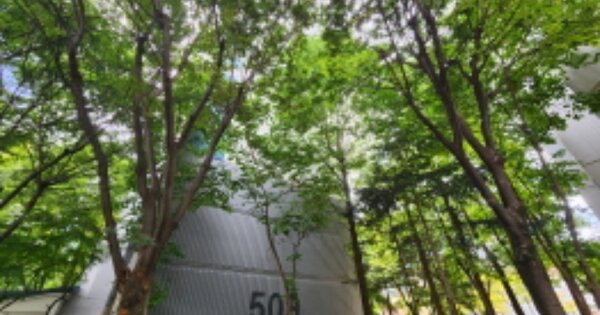 대전 유성구 전민동 464-1, 509동 OOOOOO OOOOOOOOOOOO 아파트 경매 물건 이미지