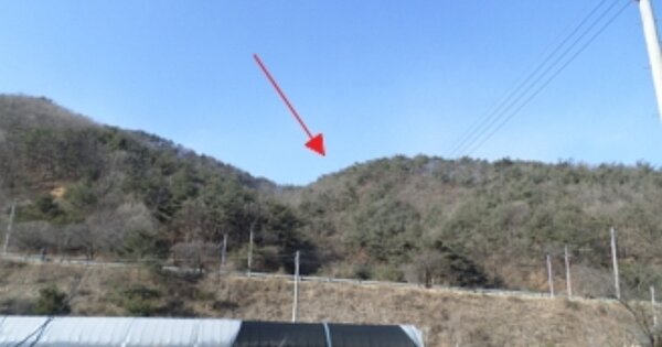 강원특별자치도 횡성군 갑천면 율동리 OOO 임야 경매 물건 이미지