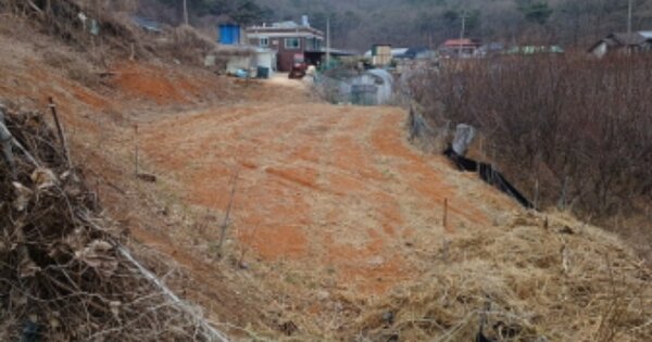 인천광역시 옹진군 북도면 장봉리 OOOOO 전 경매 물건 이미지