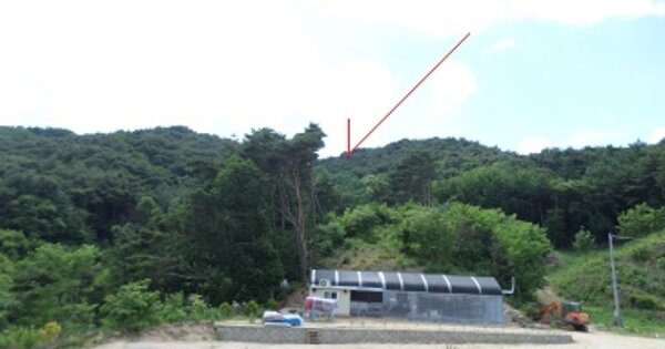 강원도 원주시 판부면 서곡리 OOOOOO 임야 경매 물건 이미지
