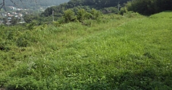 경상남도 창녕군 도천면 덕곡리 OOOOOO 전 경매 물건 이미지