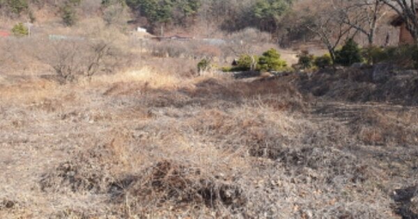 경상북도 성주군 수륜면 송계리 OOOOO 답 경매 물건 이미지