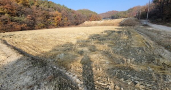 경기도 안성시 양성면 산정리 O 답 경매 물건 이미지