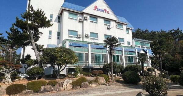 전남 완도군 완도읍 정도리 OOOOOO O OOO 숙박시설 경매 물건 이미지