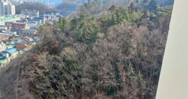 경상남도 거제시 옥포동 OOOOOO 임야 경매 물건 이미지