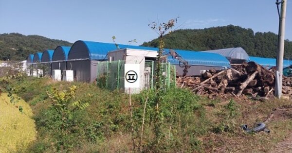 충청남도 청양군 대치면 주정리 OOO O OOO 답 경매 물건 이미지