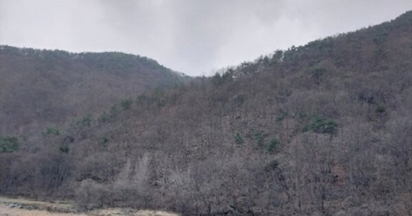 충청남도 공주시 사곡면 고당리 OOOOO 임야 경매 물건 이미지