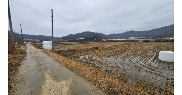 경상북도 상주시 공검면 율곡리 OOO 답 경매 물건 이미지
