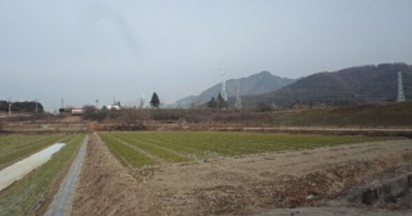 경상남도 창녕군 영산면 죽사리 OOOOO 답 경매 물건 이미지