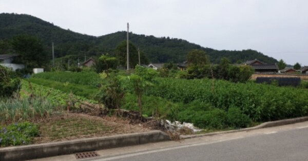경상북도 경주시 서악동 OOO O OOO 전 경매 물건 이미지