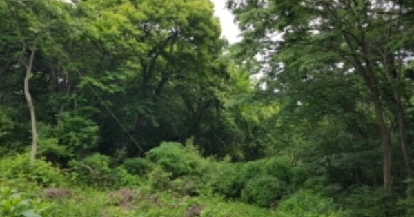 충청남도 당진시 송산면 매곡리 OOOOO 임야 경매 물건 이미지